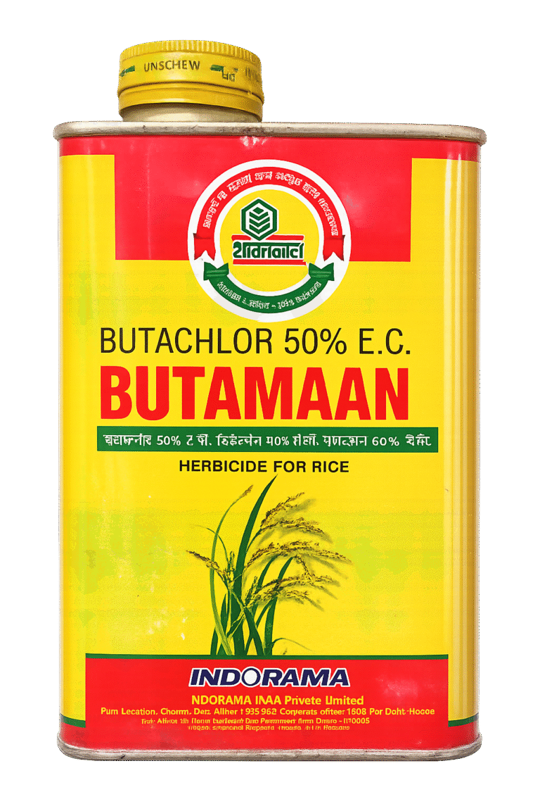 1Butaman_Image