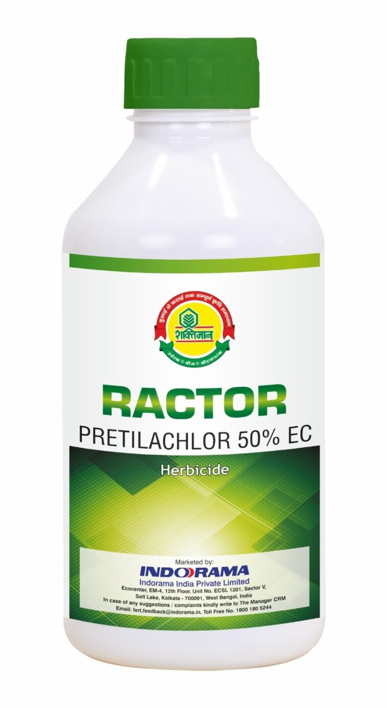 Ractor